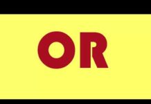 Zigmund Afraid – Pleasure was mine